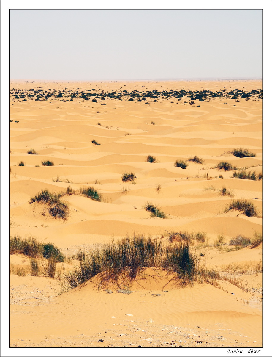 2018 - 05 - Djerba - 14